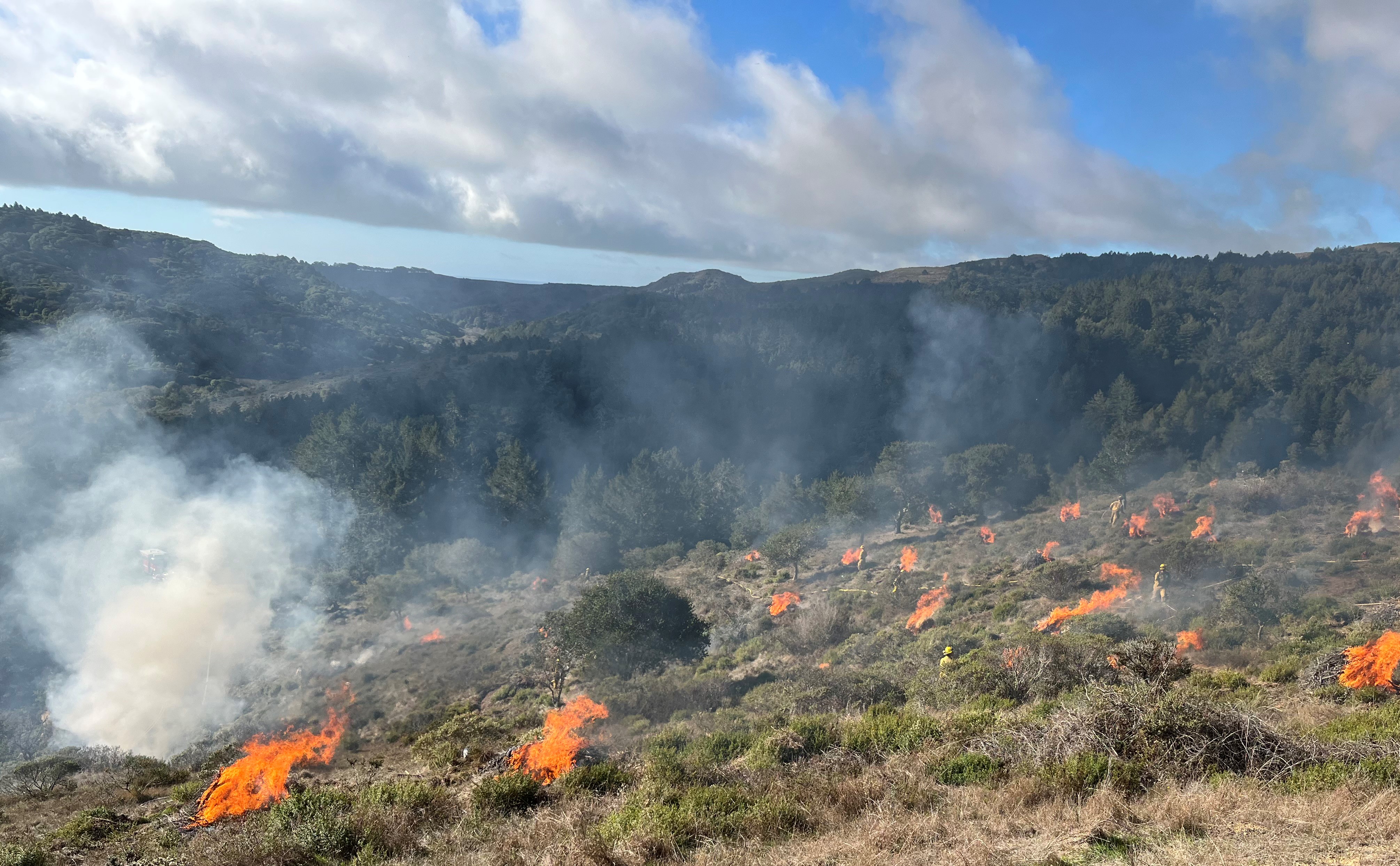2022 Pile Burn Above Muir Woods Road 2022 Pile Burn Above Muir Woods Road